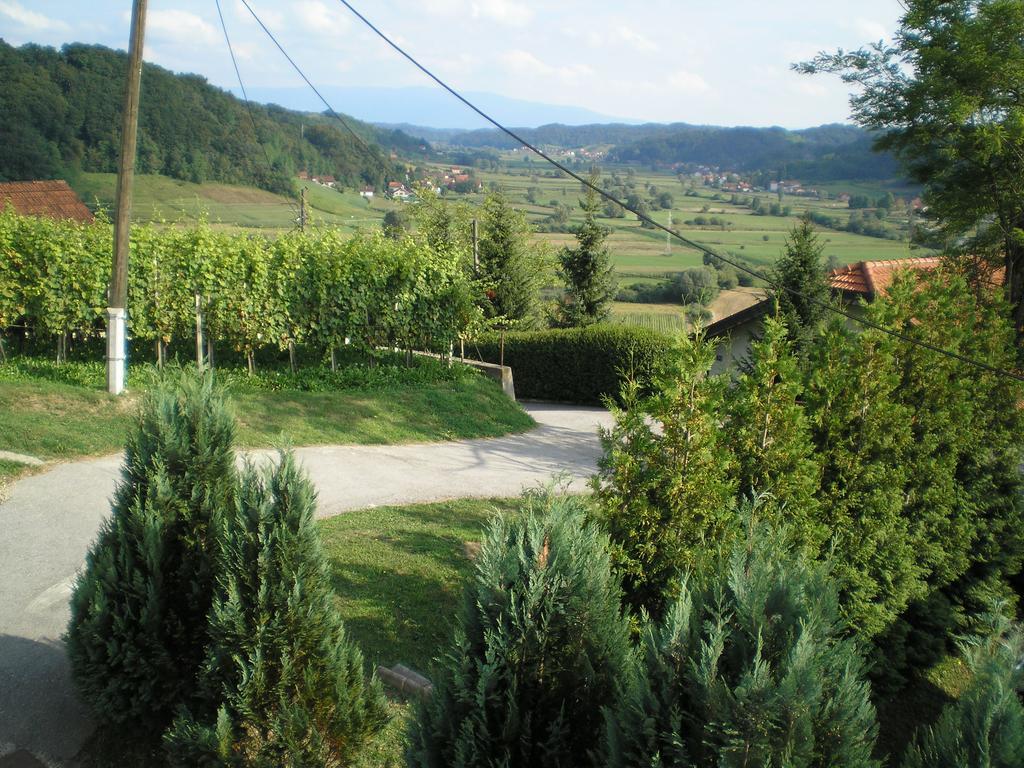 Apartments Country House Stipica Tuheljske Toplice Luaran gambar